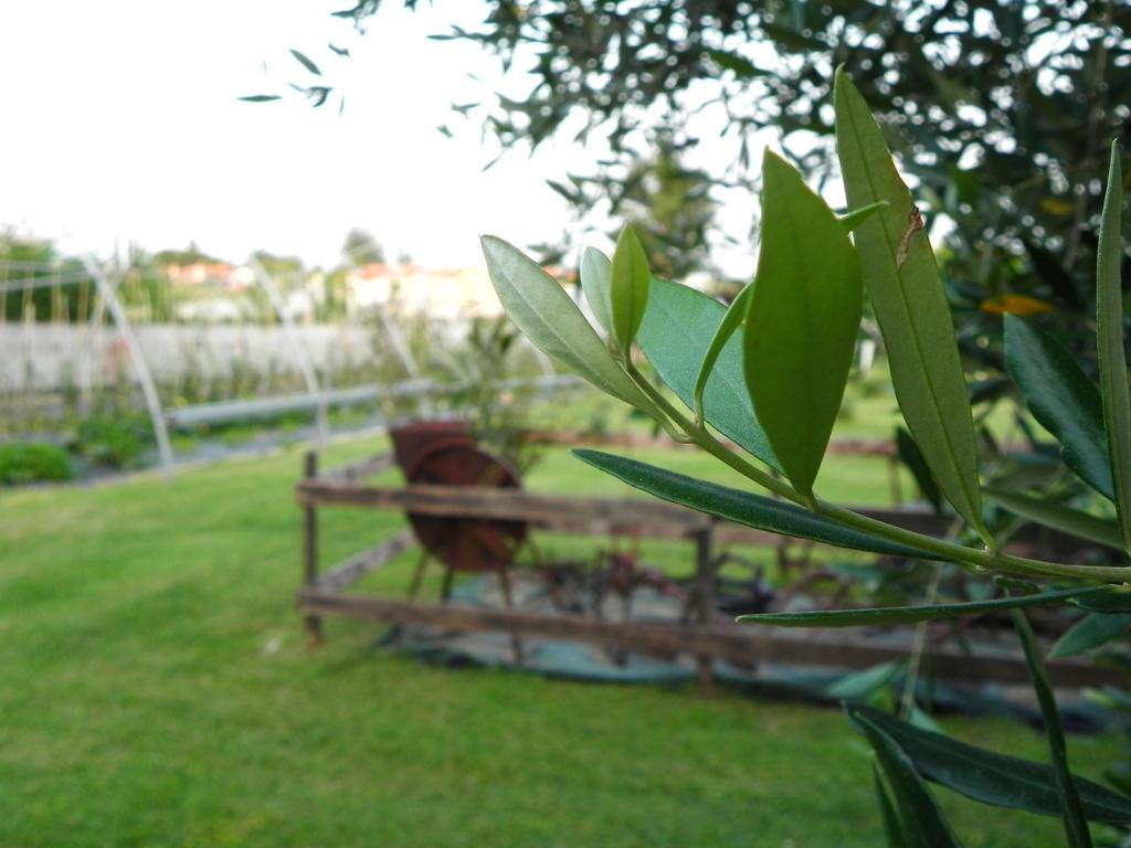 Agriturismo 30 Moniga del Garda Экстерьер фото