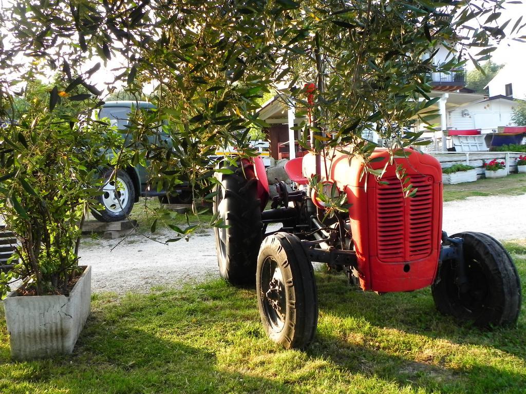 Agriturismo 30 Moniga del Garda Экстерьер фото